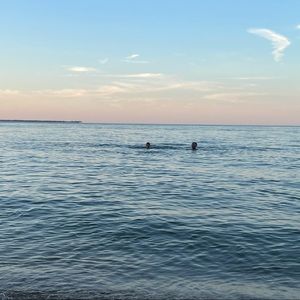 Meet your Posher, Ccourtney